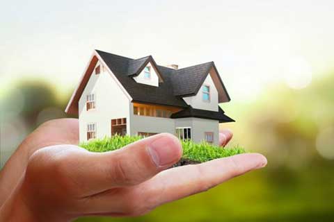 Home Insurance Services